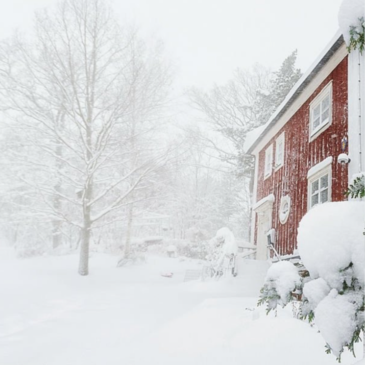 Vinter, Sne, Kulde, Frost